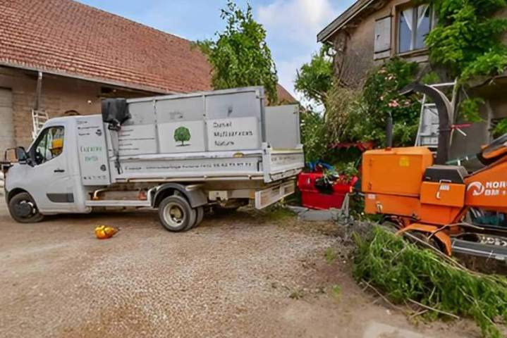 Laissez-nous tailler soigneusement les arbres de votre jardin.