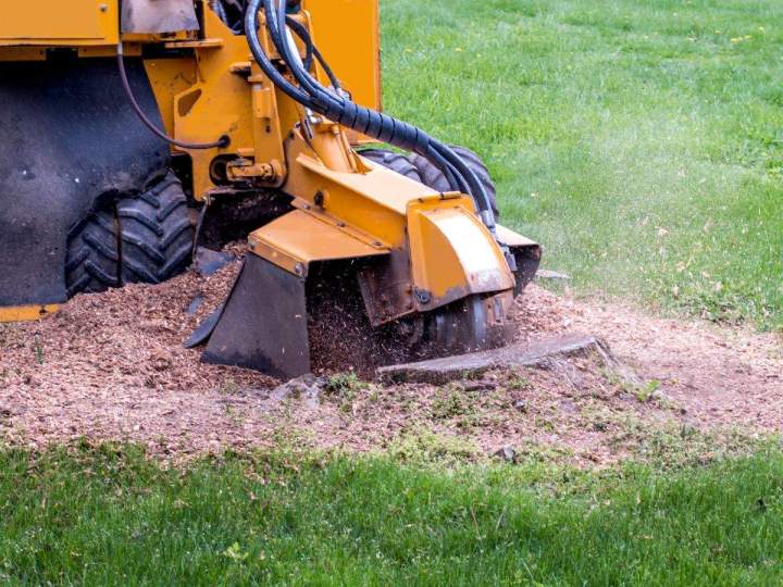 Confiez-nous tous les travaux de dessouchage d’arbre.